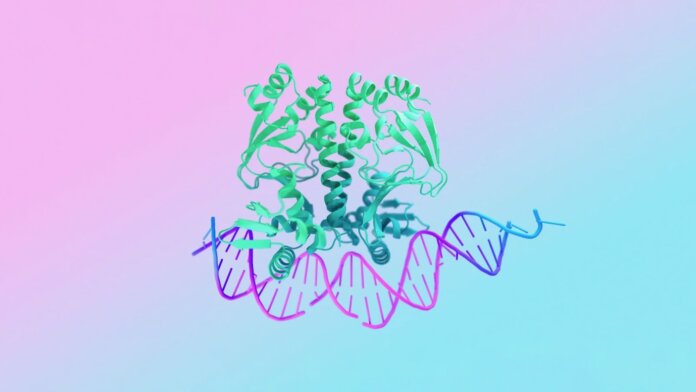 Google DeepMind's new AlphaFold AI model can model interactions between proteins, small molecules, DNA, and RNA.