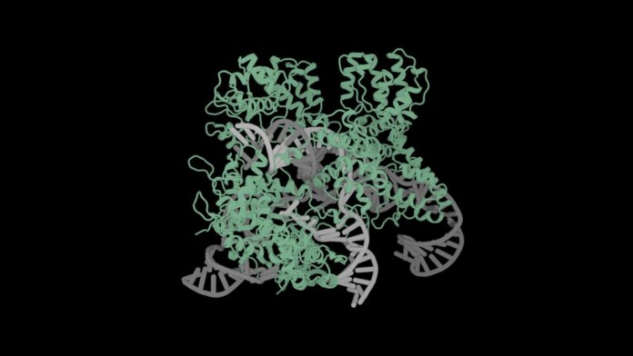 Profluent's OpenCRISPR1 gene editor was designed by generative AI and can edit human cells