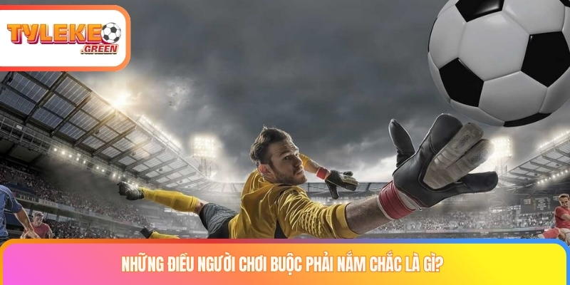 Những điều người chơi buộc phải nắm chắc là gì?